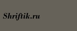 Bodoni Bold Italic BT 